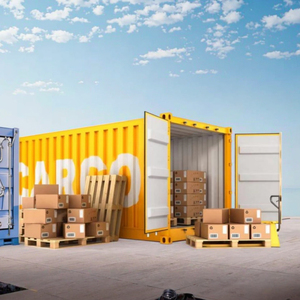 Servicio <span class=keywords><strong>DHL</strong></span> DDP Económico, Agente de Envío Exprés para Paquetes Pequeños, Transitarios de China a Estados Unidos - Product Image 5