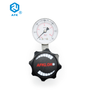 Regolatore di pressione monostadio a basso flusso 0-160psi 0-300psi 0-1. 6mpa per gas O2/Ar/<span class=keywords><strong>CO2</strong></span>/N2/H2/H2/lui/Air/NH3/C2H6/O3 - Product Image 6