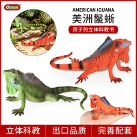 yxs Jouet modèle de lézard reptile à sang froid, simulation réaliste, transfrontalier, Iguane américain, cadeau éducatif pour enfants