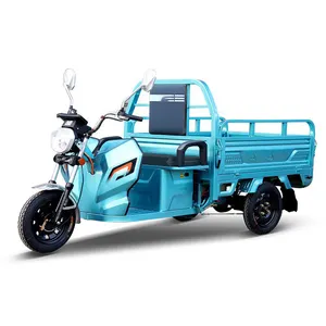 Electric Truck For 3-Wheel 3 Wheel Trike With Lithium Battery Scooter Low Pice Dump Diesel Made In China Cargo Tricycle
