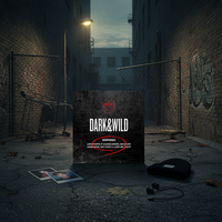 BTS - Dark & Wild 1er album complet (CD K-pop officiel)
