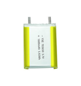 Высококачественный литий-полимерный аккумулятор 3,7 В/1600 мАч OEM/ODM для экшн-камер дронов полицейских камер - Product Image 1