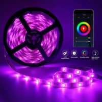 Tuya WiFi Smart RGB LED Strip Controller 24V 12V APP Voice LED Dimmer pour Single-colour CCT RGB RGBW RGBCW Strip Light