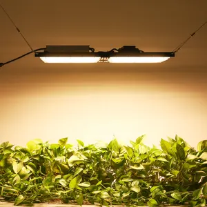 Systems Custom LED Grow Light Adjustment Height Plants Hydroponic 240W LED IR Grow Light 3000k