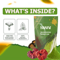Supplément à base de plantes OEM ODM boisson aux champignons Matcha fournisseur de poudre de Matcha de qualité alimentaire approuvé GMP pour adultes