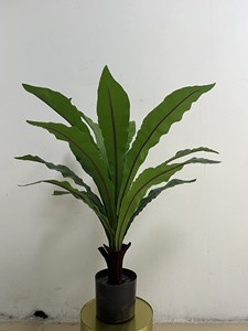 Hoja <span class=keywords><strong>de</strong></span> Asplenium Nidus <span class=keywords><strong>de</strong></span> Plástico <span class=keywords><strong>de</strong></span> Alta Calidad en Maceta para Decoración del Hogar, Bonsái Artificial, <span class=keywords><strong>Buxus</strong></span>, Vegetación <span class=keywords><strong>de</strong></span> Mesa, Helecho <span class=keywords><strong>de</strong></span> Seda Tipo Nido <span class=keywords><strong>de</strong></span> Pájaro - Product Image 2