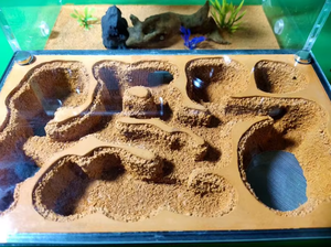 Petite fourmilière en plastique pour nid de colonie de fourmis d'élevage de fourmis en formicarium pour l'école, les sciences, les reptiles et les poissons pour le salon - Product Image 4