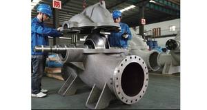 משאבת מים לחקלאות שאיבה כפולה ניקוז - Product Image 4