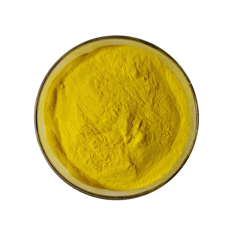 Natural Berberine HCL Cortex Phellodendri Extract Berberine Hydrochloride Powder