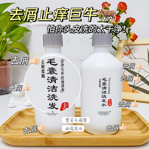 Hunmui Follicle Cleansing <b>Shampoo</b> 2-In-1 Herbal Salicylic Acid Anti-Dandruff Deep Cleansing For Oily Hair Female - Product Image 2