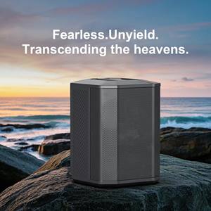 Altavoz PA de 300W, 2 Micrófonos, Mezclador de 2 Canales, DJ Móvil, Equipo de Audio Profesional para Pequeños Espacios, Ensayos y Eventos, Sonido Potente - Product Image 6