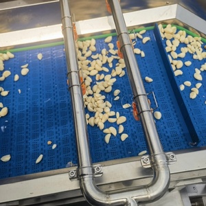 Automatic Engine-<b>Powered</b> Stainless Steel Garlic Peeling Crushing <b>Paste</b> Making Machine 500kg/h Capacity 6-Month Warranty New - Product Image 3