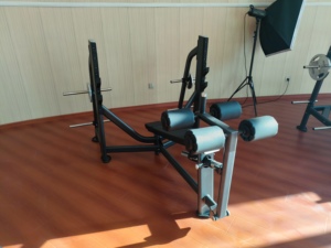 Tấm nạp suy giảm băng ghế Tập Thể Dục Đào Tạo máy thiết bị cần thiết cho phòng tập thể dục tập luyện - Product Image 2