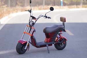 รถสกู๊ตเตอร์ไฟฟ้าแบตเตอรี่ลิเธียมขนาด48โวลต์12AH มอเตอร์ไร้แปรงขนาดใหญ่หนึ่งที่นั่งขนาด1000วัตต์โหลดสูงสุด150กก. 31-40กม./ชม. - Product Image 4