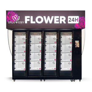 Distributeur d'extérieur testé 4 ans pour la conservation des légumes et fruits, avec 6 compartiments, et machine distributrice de fleurs SDK pour centres commerciaux - Product Image 5