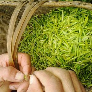 Marchi di <span class=keywords><strong>Tè</strong></span> Verde Cinese dello Henan, Top Ten delle Famose <span class=keywords><strong>Marche</strong></span> di <span class=keywords><strong>Tè</strong></span> Verde Xinyang Maojian, Ordine OEM - Product Image 5