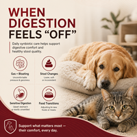 Friandises à mâcher pour chiens et chats à stomac sensible, probiotiques pour la santé digestive, fabricant de marques privées