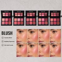 Palette de fards à joues, formule sans toxines, biocompatible, marque privée OEM ODM, sans plastique, look éclatant, kit professionnel expert de laboratoire moderne