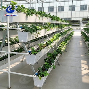 High Yield Greenhouse Vertical Hydroponic System A-Frame Strawberry Gutter System PVC <strong>Planting</strong> <strong>Trough</strong> for <strong>Large</strong> Scale Farm - Product Image 1