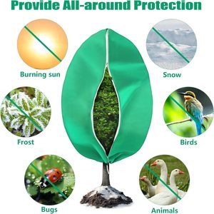 Housse de protection pour plantes contre le gel, tissu flottant pour jardin, protection hivernale contre le gel pour l'agriculture, housse de protection pour plantes non tissée - Product Image 3