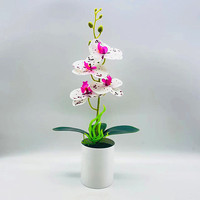 Orchidées Phalaenopsis Artificielles Effet Naturel, Petit Pot en Céramique, Bouquet de Herbe en Plastique, Métal, Écologique, Couleur Verte pour