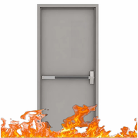 Portes en acier ignifugées 90 minutes certifiées CE, porte en acier galvanisé, porte en acier inoxydable, porte de sortie incendie avec vitrage