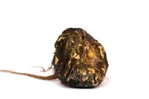 Polvo de Maca totalmente procesado, venta a granel, nueva temporada, 2021 - Product Image 2