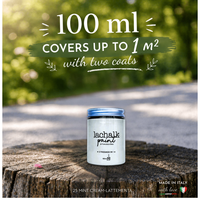 25 MINT CREAM 100ml Peinture hybride craie-résine Application au pinceau Fabriqué en Italie