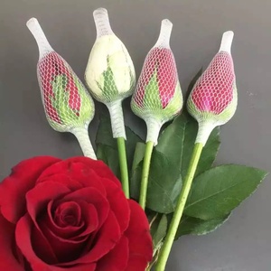 Vente directe fabricant : Manchon de protection en maille plastique pour bourgeons de roses, haute qualité, vente en gros, couleur personnalisable, pour roses coupées - Product Image 5