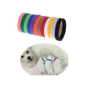 <span class=keywords><strong>Amanzon</strong></span> Hot Sell 12/15 Farben einstellbar Identifizieren Sie Pet Band Puppy ID Collar - Product Image 5