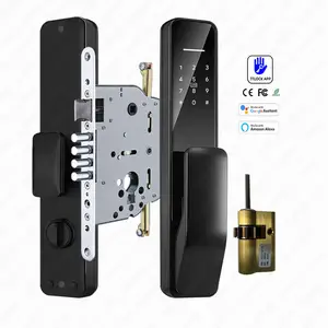 Israel Type Doors TTLOCK APP Impressão digital Smart Door Lock Fechadura digital eletrônica com Alexa Google Home G20