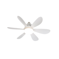 Ventilateur de plafond pour cuisine, ventilateur de plafond avec douille pour ampoule E27, ventilateur de plafond avec télécommande