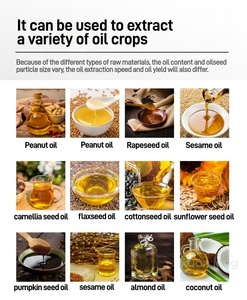 เครื่องกดน้ำมันแบบอัตโนมัติขนาดใหญ่สำหรับเมล็ดฝ้าย เมล็ดทานตะวัน เมล็ดเรพซีด แบบสกัดเย็น กำลังการผลิต 75 กก./ชม. - Product Image 5