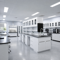 Mesa de Experimentos de Física, Química y Biología, Muebles de Laboratorio con Fregadero y Estante para Reactivos para Escuelas y Universidades