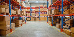 Capsule di semi di sedano prezzo di fabbrica per ridurre l'acido urico con estratto di semi di sedano capsule integratore a base di erbe - Product Image 6