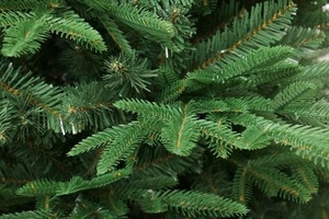 Bán Buôn 6ft Bản Lề Cấu Trúc PVC + PET Hỗn Hợp Bản Lề Trong Nhà Giáng Sinh Nhân Tạo Cây - Product Image 4