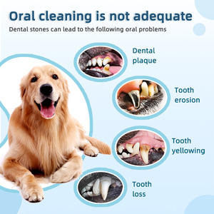 <span class=keywords><strong>Kit</strong></span> de Limpieza Dental Eléctrico Ultrasónico Multifuncional de Acero Inoxidable para Mascotas - Suministros de Limpieza para Mascotas - Resistente al Agua IPX7 - Elimina el Sarro y la Placa - Product Image 4