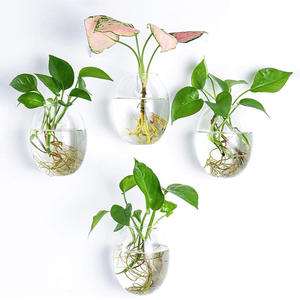 Mode Muur Opknoping Glas Bloem Vaas Terrarium Muur <span class=keywords><strong>Aquarium</strong></span> <span class=keywords><strong>Aquarium</strong></span> Container Bloem Planter Huis Tuin Decor Milieuvriendelijk - Product Image 1