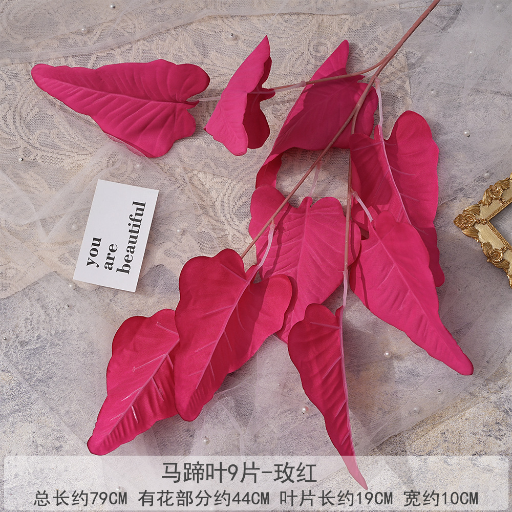 Feuille FS-Hoof, 9 pièces - Rouge rosé