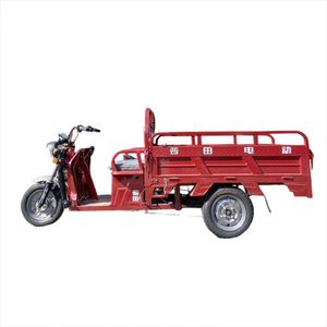 Easy to <b>Operate</b> 30 Degrees Climbing for Seniors Motor Trike for - Product Image 1