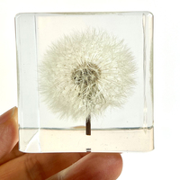 Pabrik kustom Resin persegi kerajinan kristal transparan nyata Dandelion bunga patung hadiah bisnis patung hadiah pemberat kertas elegan