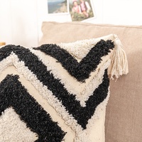 Taie d'oreiller en coton couvre Trow Boho broderie taie d'oreiller tissé à la main tufté brodé Boho housses de coussin pour canapé