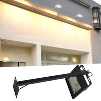 Lumière de projection LED extérieure étanche 30W pour stand d'exposition Affichage publicitaire Long Pole Spot Lighting