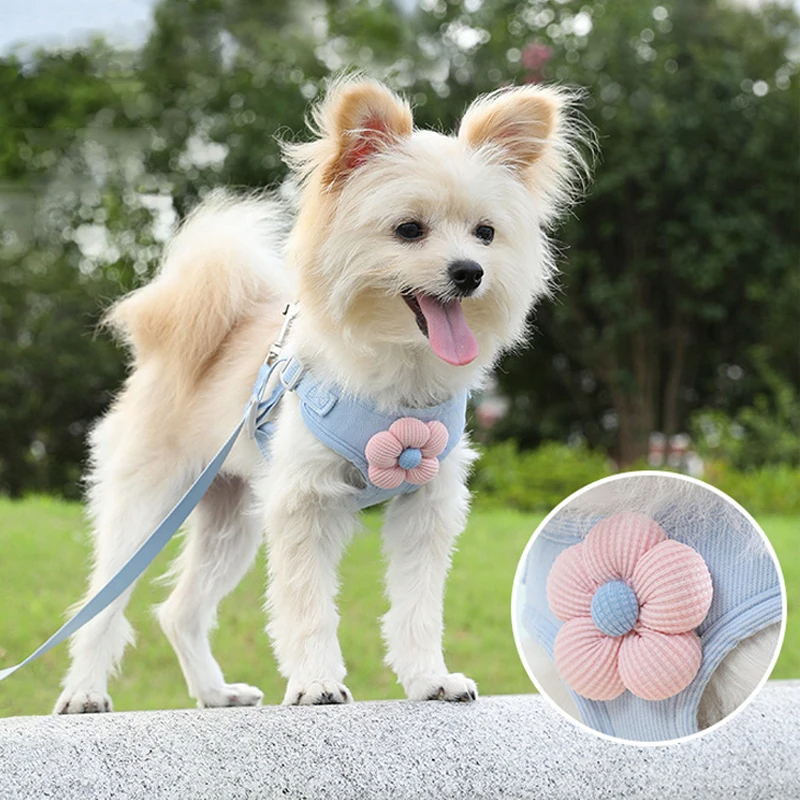 Adjustable Designer Cute Flower Pet Harness