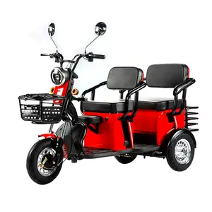 Factory Price Wholesale Adult Electric Cargo Tricycle 48V 20Ah 800w Big Power Electric Scooter Bike