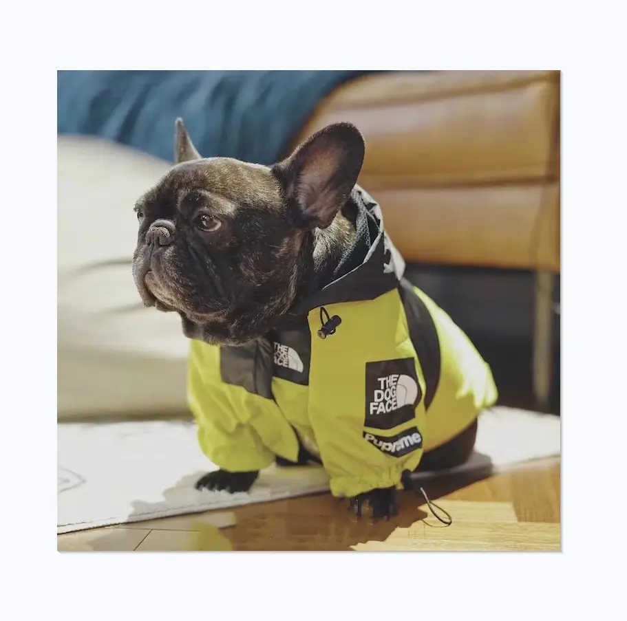 Desain Merek Trendi Jas Hujan Jaket Hewan Peliharaan Bulldog Mode Jalanan Desain Bendera Anjing dan Wajah Anjing
