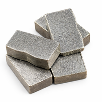 SS-S110 Segments diamantés personnalisés, directement d'usine, 24*13/14*6.6/7.2mm, pour lame de scie à tour de 5.5mm d'épaisseur de noyau, à coupe rapide