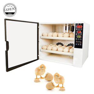 <span class=keywords><strong>Mini</strong></span> Incubadora de Huevos para 60 Aves de Corral, Precio de Venta en Zimbabue - Product Image 3