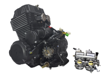 Moteurs de Moto Refroidis par Air Zongshen 250cc, Moteur 250cc pour Dirtbike TM250cc avec Démarrage Électrique, Double Cylindre Zongshen TM250