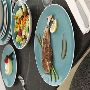 Assiettes de haute qualité pour restaurant, assiettes de service en céramique, assiettes à dîner, couvre-assiettes en céramique, couvre-couverts en promotion - Product Image 3